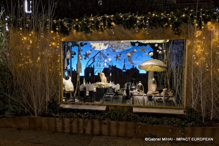 _MG_7433HOTEL DE VILLE illuminati