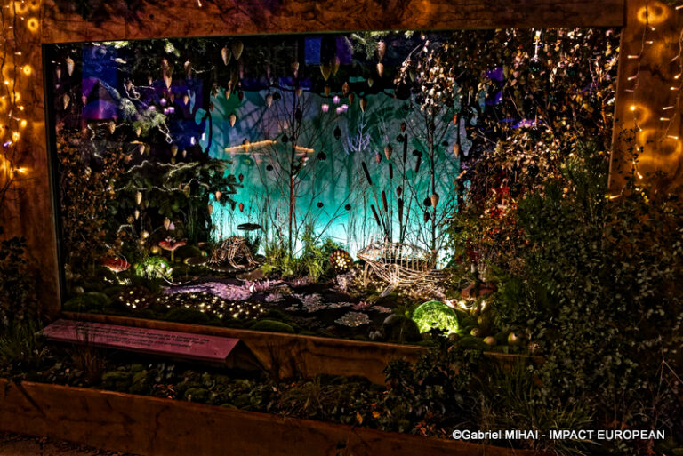 _MG_7437HOTEL DE VILLE illuminati