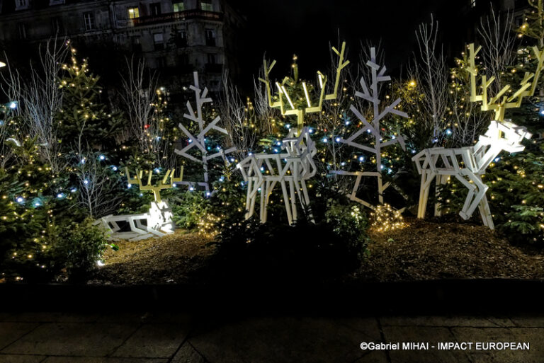 _MG_7439HOTEL DE VILLE illuminati