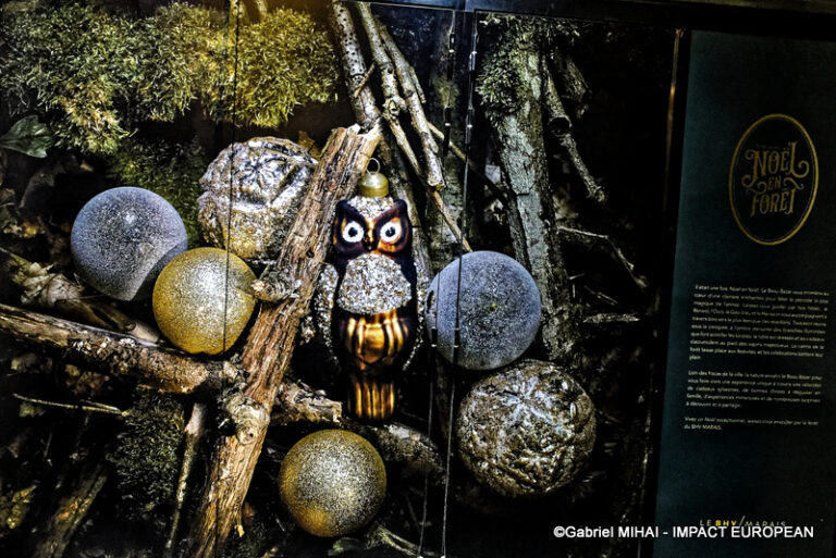 _MG_7466BHV MARAIS illuminati