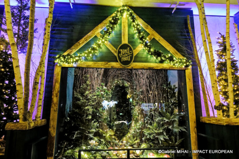 _MG_7471BHV MARAIS illuminati