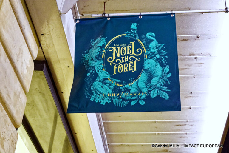 _MG_7499BHV MARAIS illuminati