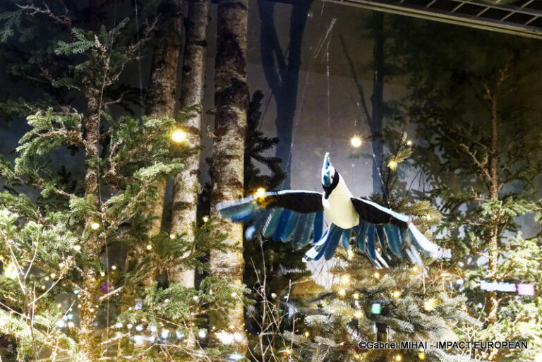 _MG_7508BHV MARAIS illuminati