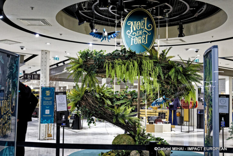 _MG_7550BHV MARAIS illuminati