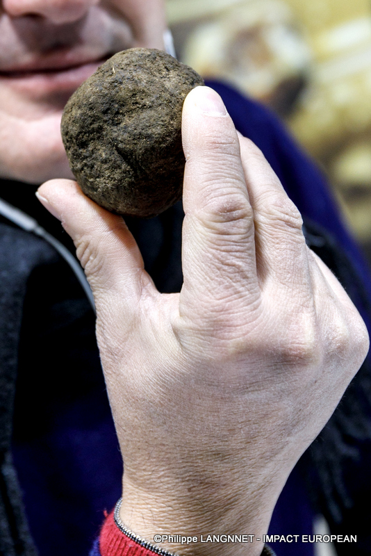 Photographie de Philippe Langonnet