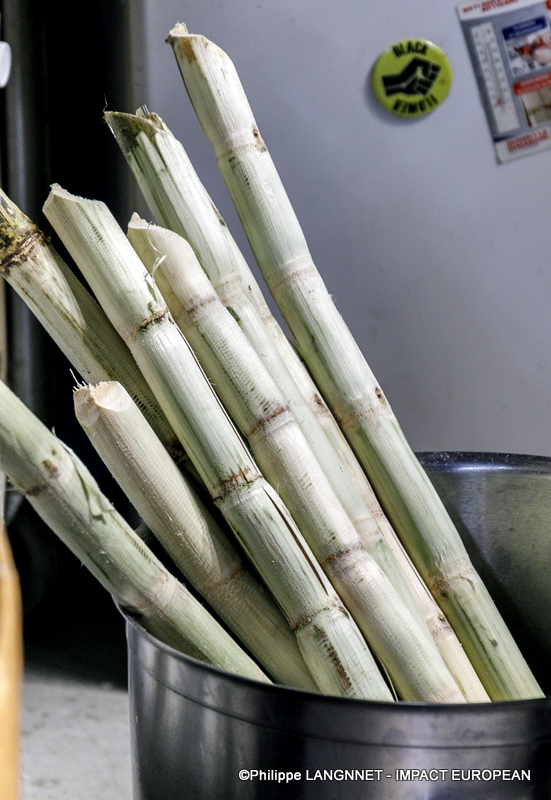 Photographie de Philippe Langonnet