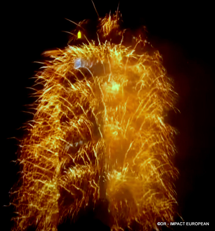 2024 Taiwan Taipei 11