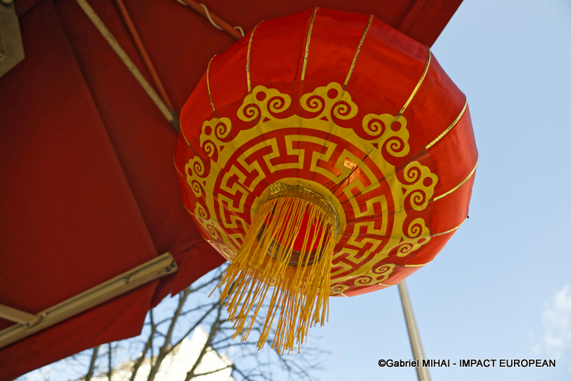 _MG_8139ANNEE DRAGON 2024