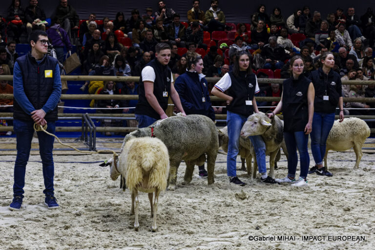 _MG_8346SIA 2024 PARIS