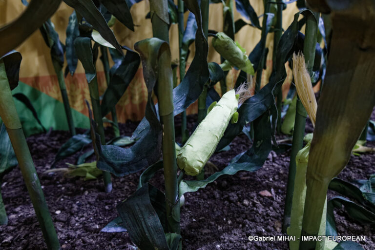 _MG_8352SIA 2024 PARIS