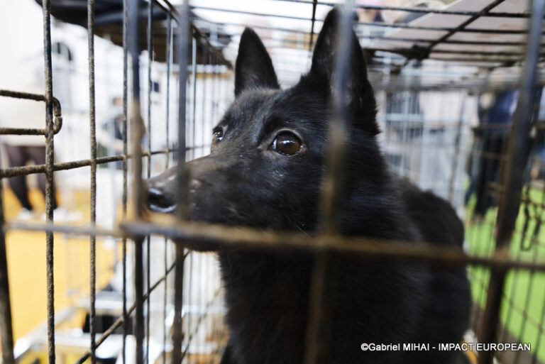 _MG_8391SIA 2024 PARIS