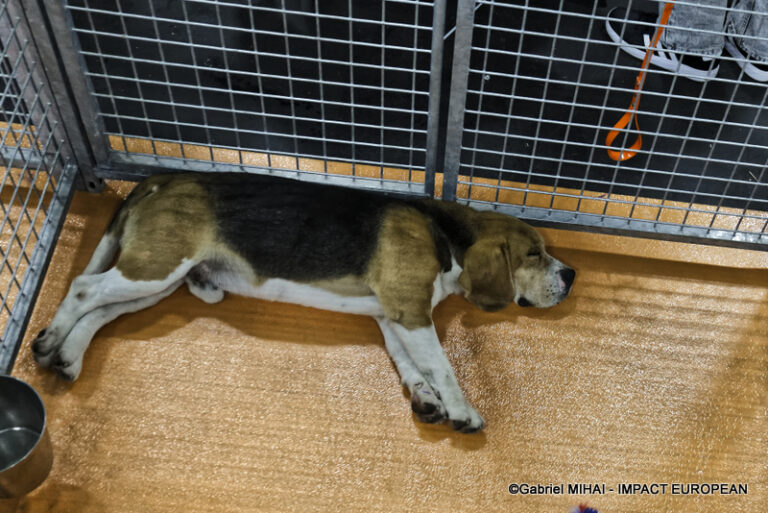 _MG_8396SIA 2024 PARIS