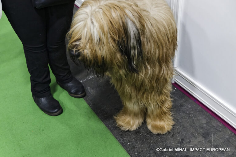 _MG_8414SIA 2024 PARIS