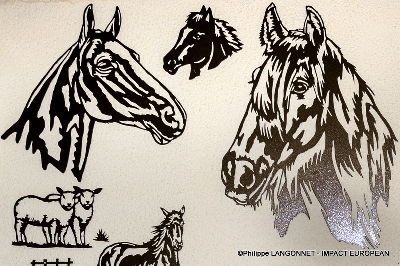 Photographie de Philippe Langonnet