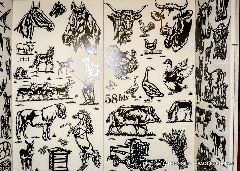 Photographie de Philippe Langonnet