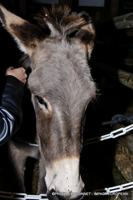 Photographie de Philippe Langonnet