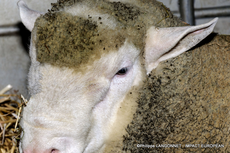 Photographie de Philippe Langonnet