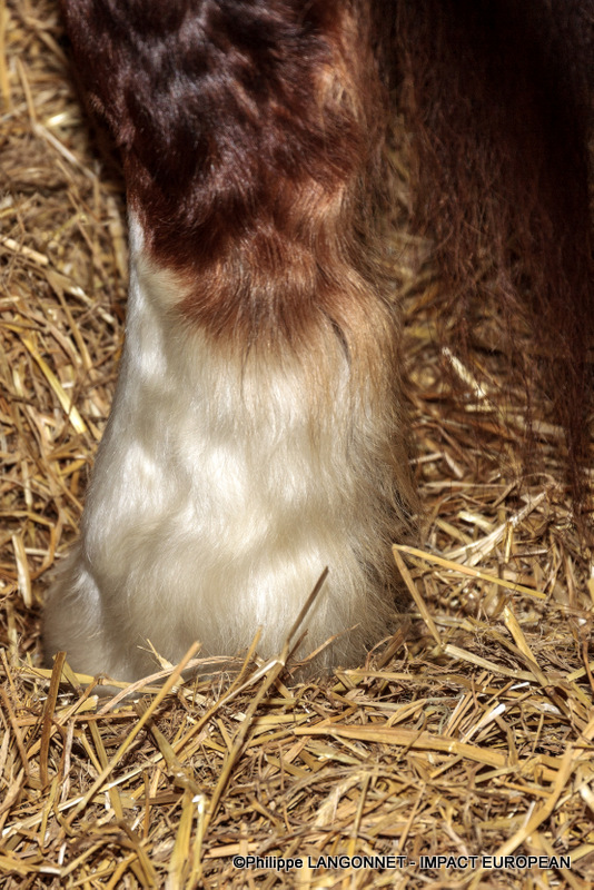 Photographie de Philippe Langonnet