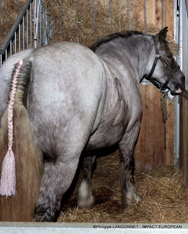 Photographie de Philippe Langonnet