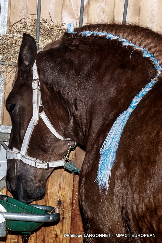 Photographie de Philippe Langonnet