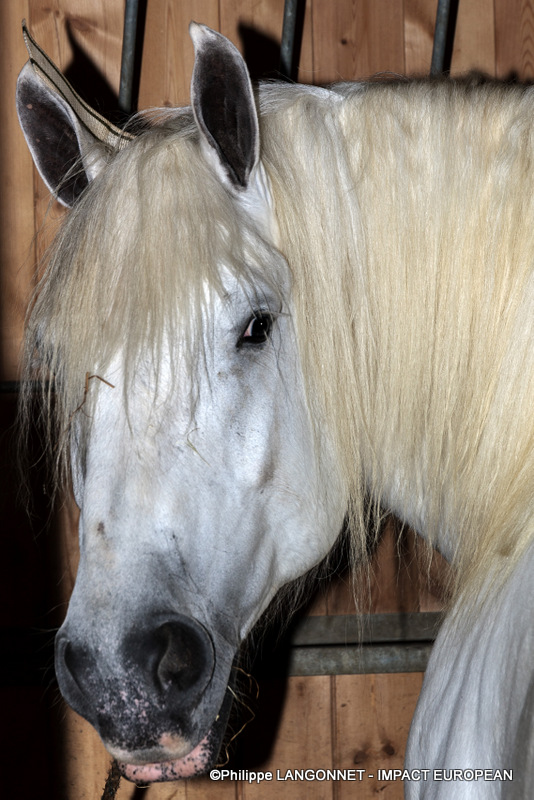 Photographie de Philippe Langonnet