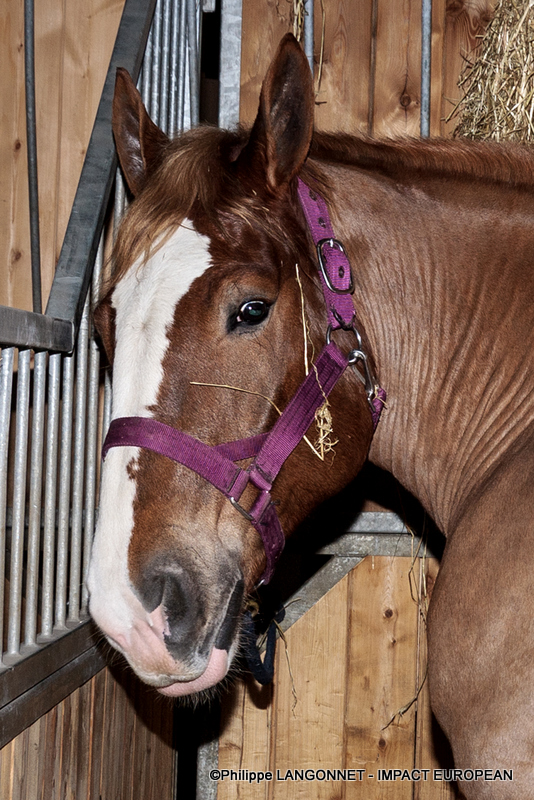 Photographie de Philippe Langonnet
