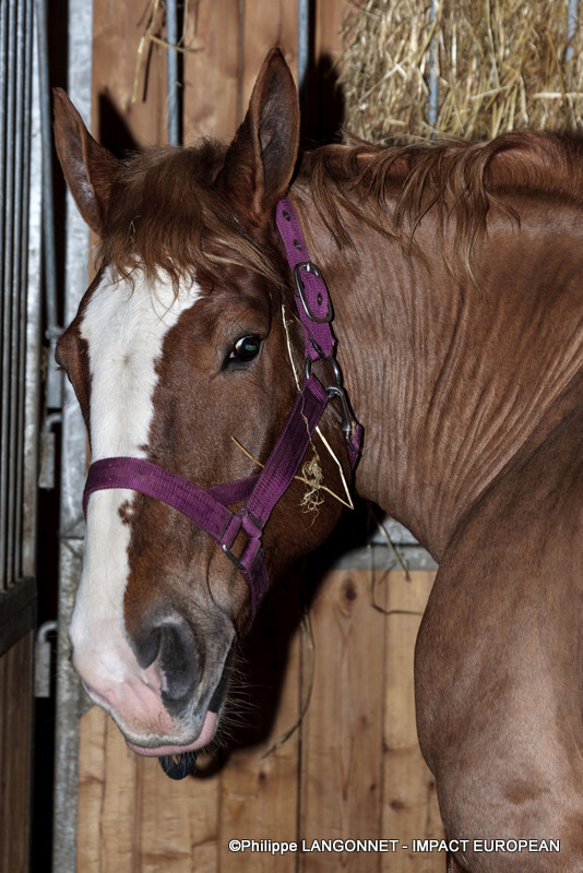 Photographie de Philippe Langonnet
