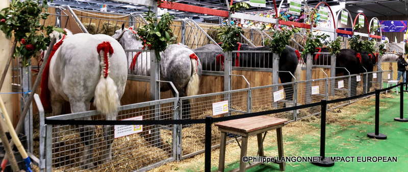 Photographie de Philippe Langonnet