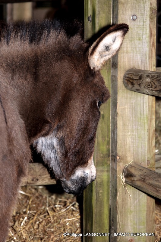 Photographie de Philippe Langonnet