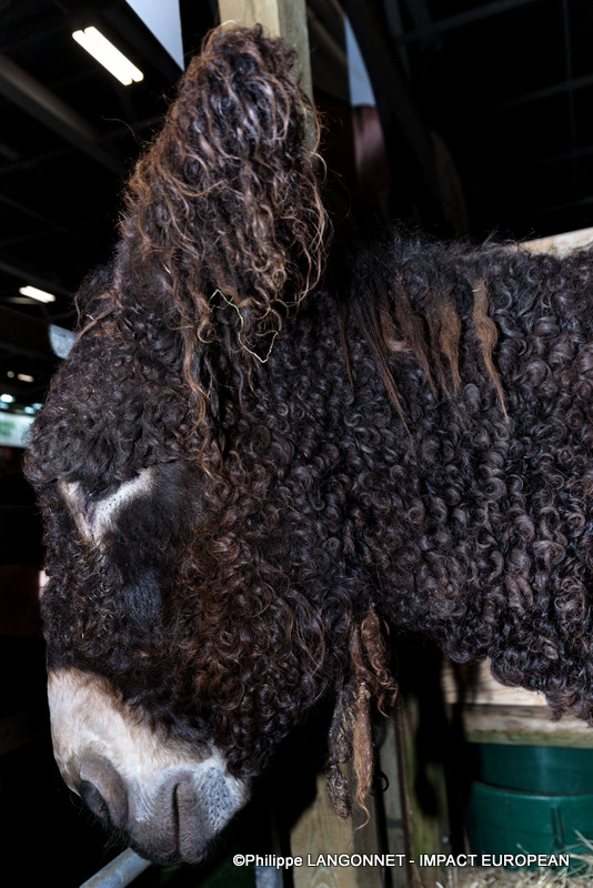 Photographie de Philippe Langonnet