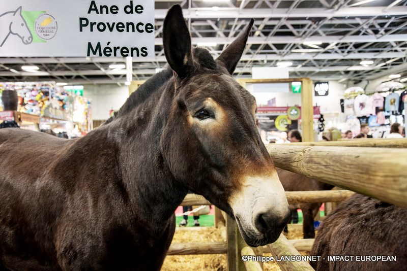 Photographie de Philippe Langonnet