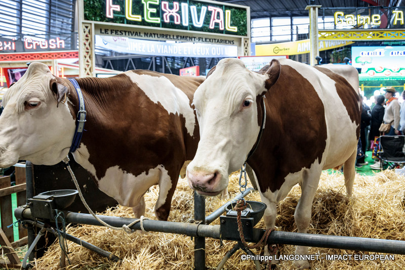 Photographie de Philippe Langonnet