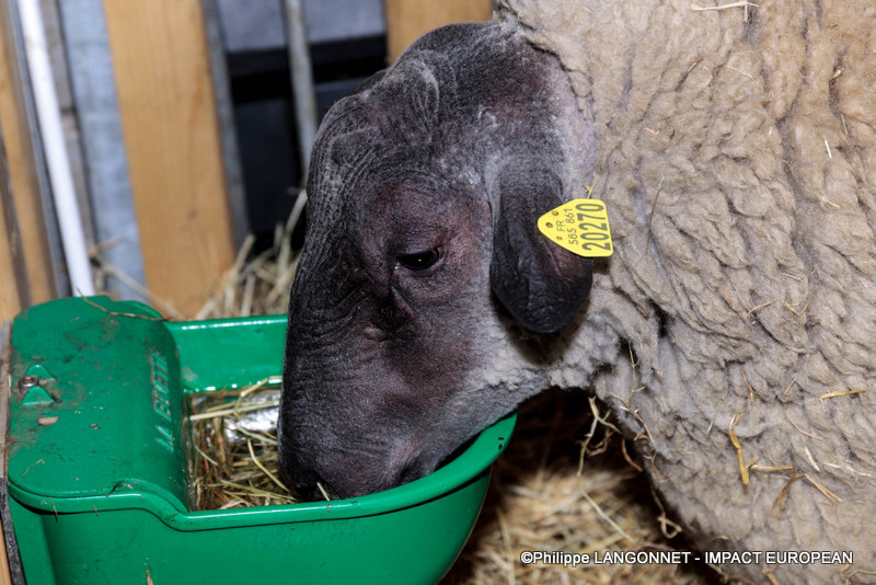 Photographie de Philippe Langonnet