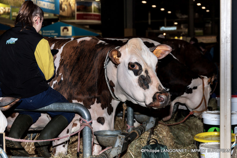 Photographie de Philippe Langonnet