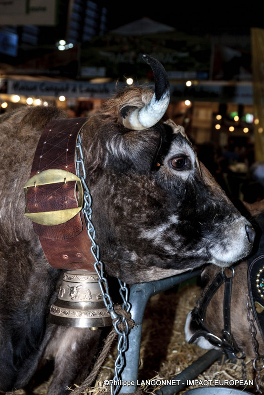 Photographie de Philippe Langonnet