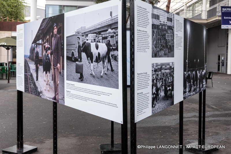 Photographie de Philippe Langonnet