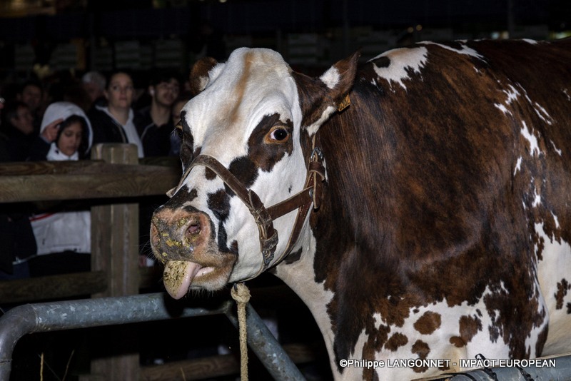Vache star du salon international de l'agriculture de Paris, Oreillette