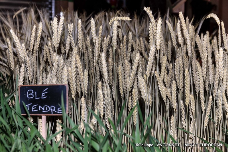 Photographie de Philippe Langonnet