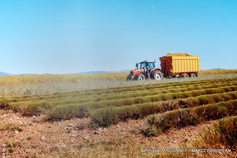 Photographie de Philippe Langonnet