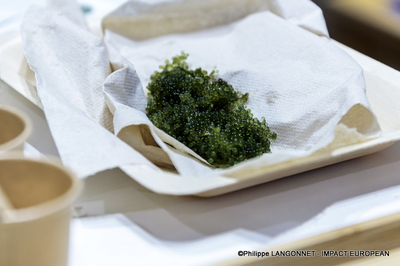 Photographie de Philippe Langonnet