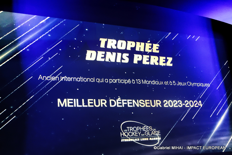 IMG_8495Trophée-hockey sur glace