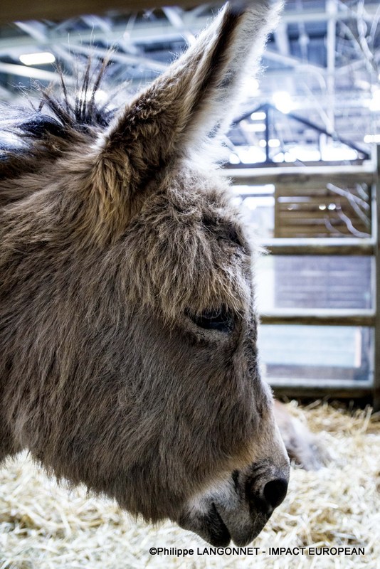 Photographie de Philippe Langonnet