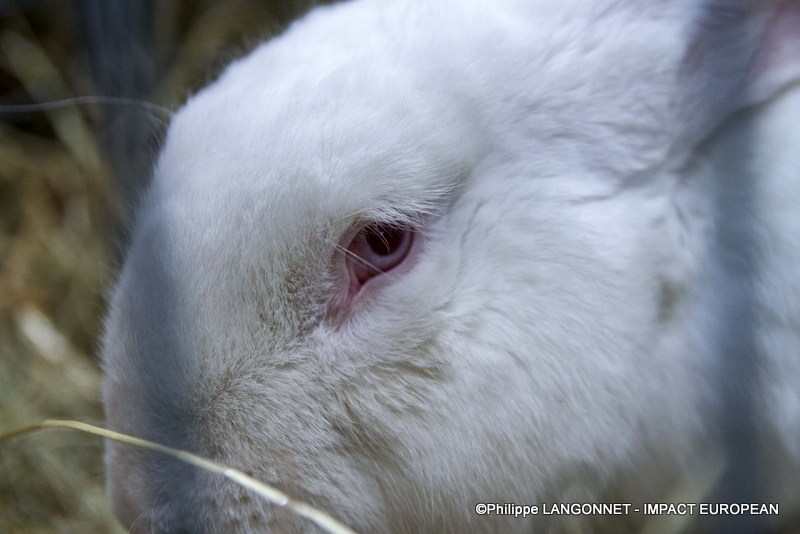 Photographie de Philippe Langonnet