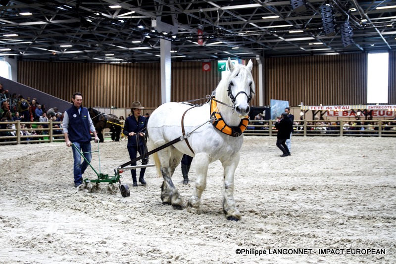 Photographie de Philippe Langonnet