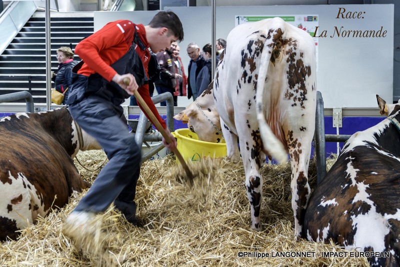 Photographie de Philippe Langonnet