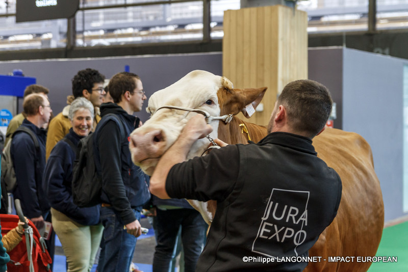 Photographie de Philippe Langonnet