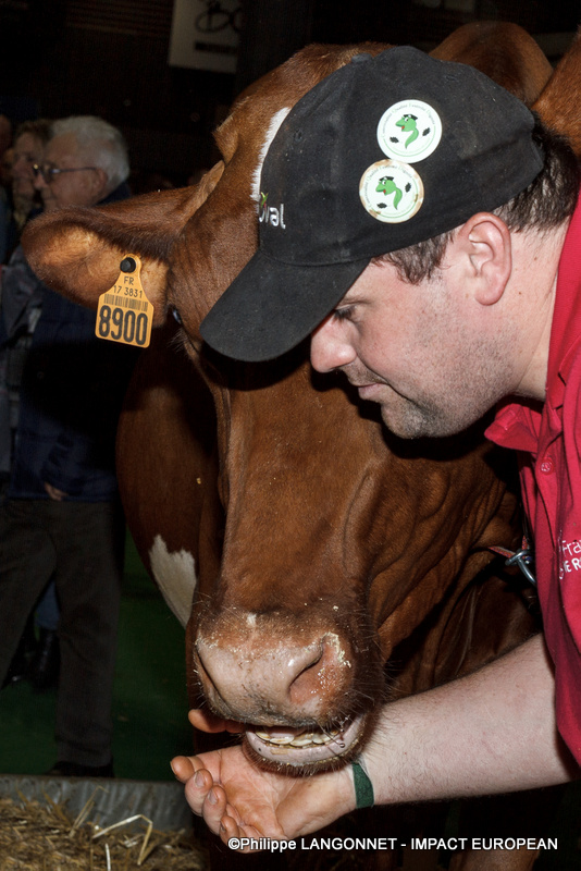 Photographie de Philippe Langonnet