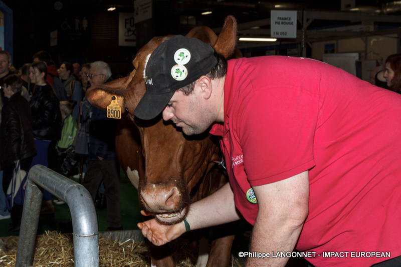 Photographie de Philippe Langonnet
