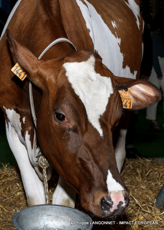 Photographie de Philippe Langonnet