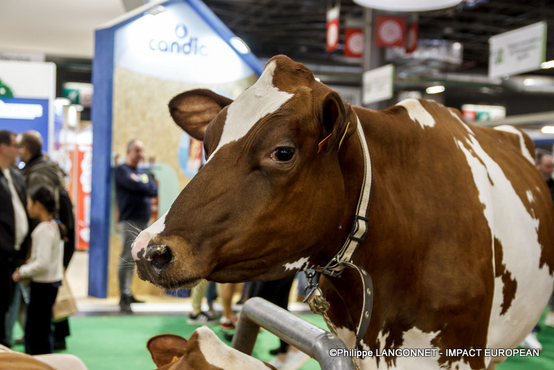 Photographie de Philippe Langonnet